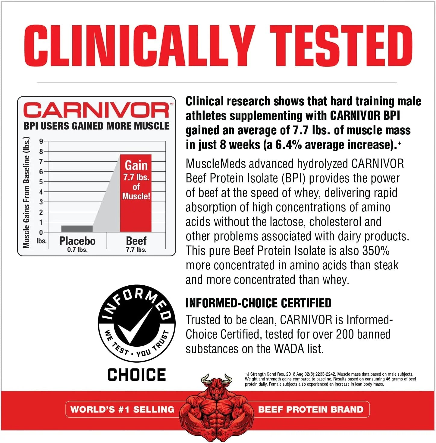 CARNIVOR Beef Protein Isolate - Muscle Building & Recovery Formula, Lactose-Free, Sugar-Free, Fat-Free, Chocolate Flavor, 2.25 lbs, 28 Servings