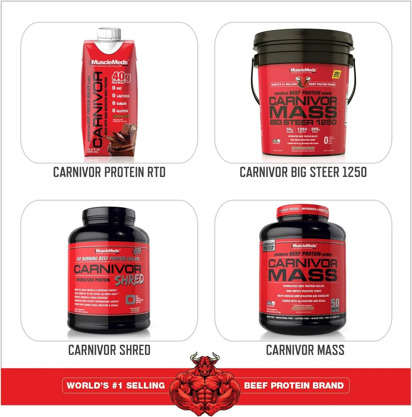 CARNIVOR Beef Protein Isolate - Muscle Building & Recovery Formula, Lactose-Free, Sugar-Free, Fat-Free, Chocolate Flavor, 2.25 lbs, 28 Servings