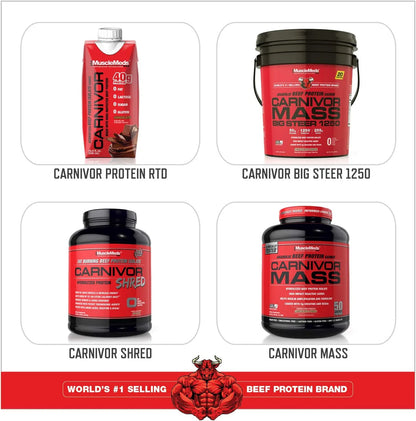 CARNIVOR Beef Protein Isolate - Muscle Building & Recovery Formula, Lactose-Free, Sugar-Free, Fat-Free, Chocolate Flavor, 2.25 lbs, 28 Servings