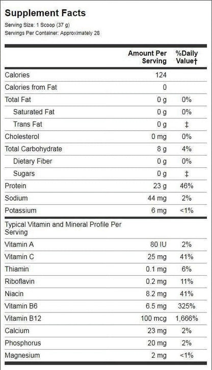 CARNIVOR Beef Protein Isolate - Muscle Building & Recovery Formula, Lactose-Free, Sugar-Free, Fat-Free, Chocolate Flavor, 2.25 lbs, 28 Servings